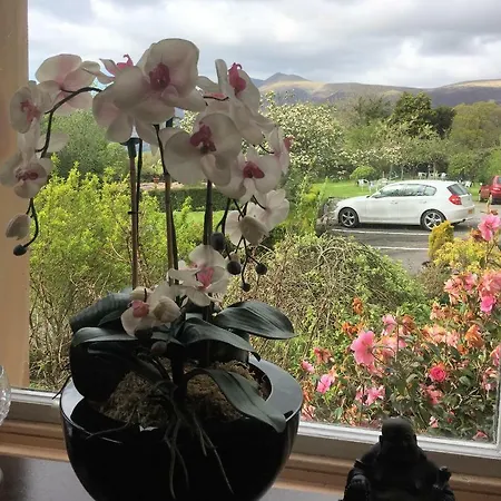 Πανσιόν The Heights