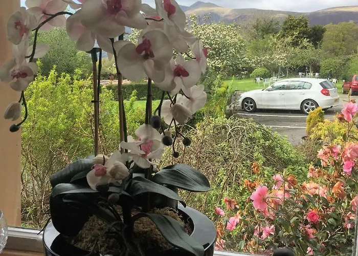 Guest house The Heights